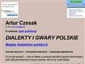 http://artur.czesak.webpark.pl/