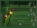 http://www.polskie.storczyki.org.pl/
